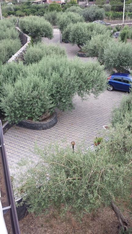 Azienda Agricola Cuntarati 브론테 외부 사진